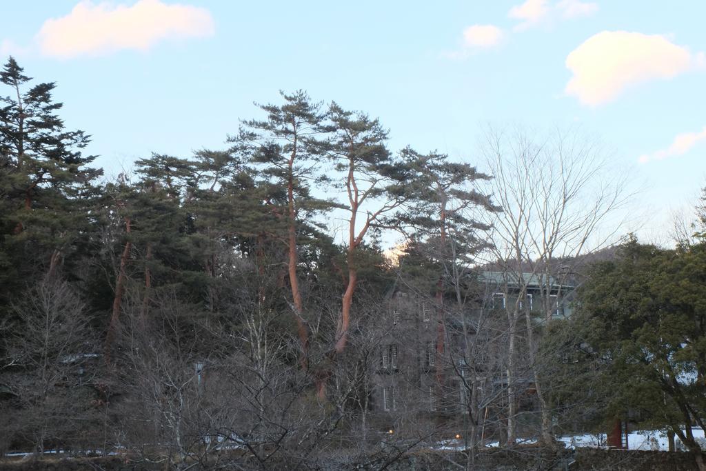 Hotel Seikoen Nikko Buitenkant foto